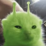 badeloliyissmm profile picture