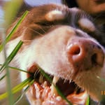 badgirldust profile picture
