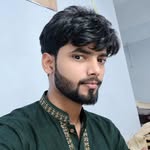badl.apur959 profile picture