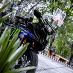 badmashrider_55 profile picture