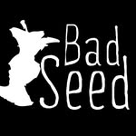 badseedcider profile picture