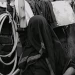badshah_up50_ profile picture