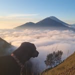 bagawatafrombali profile picture