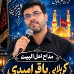 bagher_omidy profile picture