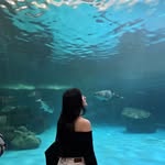 baifern_281998 profile picture
