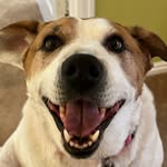 baileycordelianapier profile picture