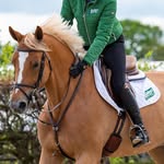 baileyshorsefeeds profile picture
