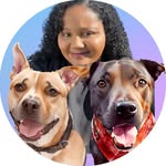 baileythepittie19 profile picture