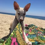 baja_safe_ profile picture