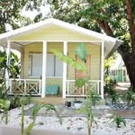 bakayaadjamaica profile picture