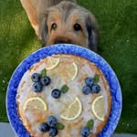 bakesbybrii_ profile picture