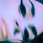bakoliketaco profile picture