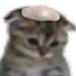 baldcounty profile picture