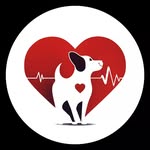 balirescuedogsquad profile picture
