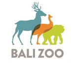 balizoo profile picture