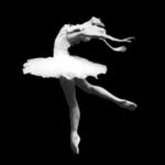 ballet.archive profile picture
