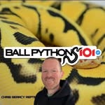 ballpythons101 profile picture