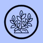 baltichealth.store profile picture