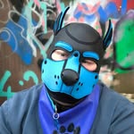 balu_pup profile picture
