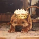 bambou.67 profile picture