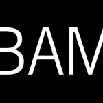 bam_brooklyn profile picture