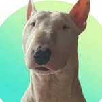 bambu_314 profile picture