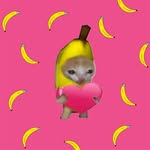 banana__248 profile picture