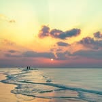 bananaswasagabeach profile picture