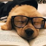 banane50626books profile picture
