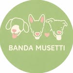 banda_musetti profile picture