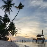 banggaikepulauan.trips profile picture