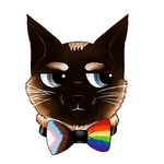 bangouproductions profile picture