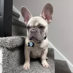banksymcfly profile picture
