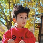 barad__ai profile picture