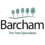 barchamtreesplc profile picture