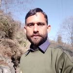 bardani999 profile picture