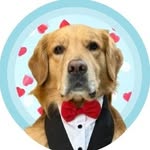 barfi.gr profile picture