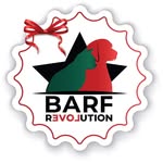 barfrevolution profile picture
