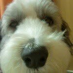 baritakekun profile picture