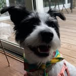 barkleyquinn profile picture