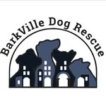 barkvilledogrescue profile picture