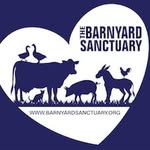 barnyardsanctuary profile picture