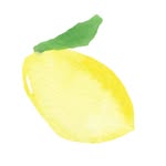 baronciniimportandco profile picture