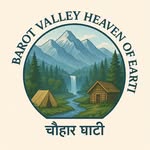 barotvalleyy profile picture