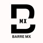barremx profile picture