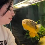 barry_thepuffer profile picture
