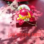 barshasingh258 profile picture