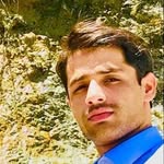 baset_lashari profile picture