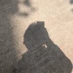 basheer_here profile picture