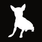 basicwhiteshirtltd profile picture